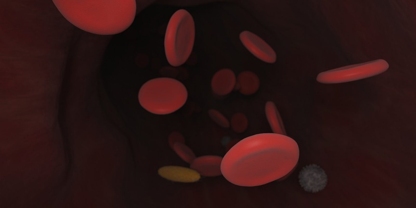 blood-4906683_960_720