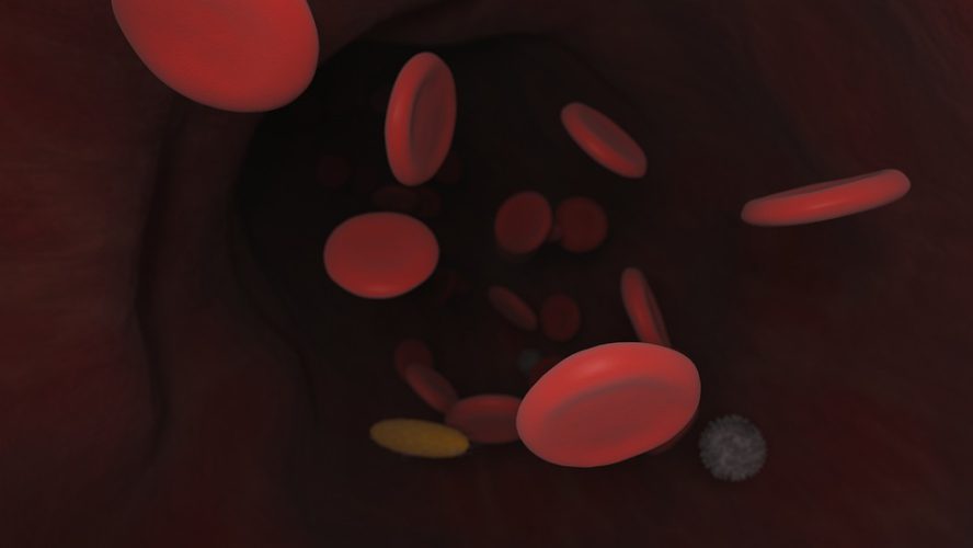 blood-4906683_960_720