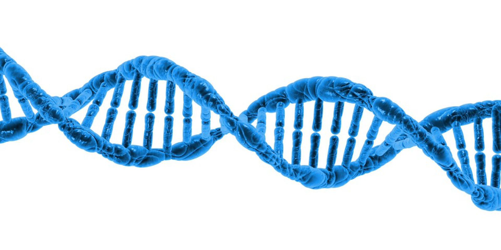 dna-163710_960_720