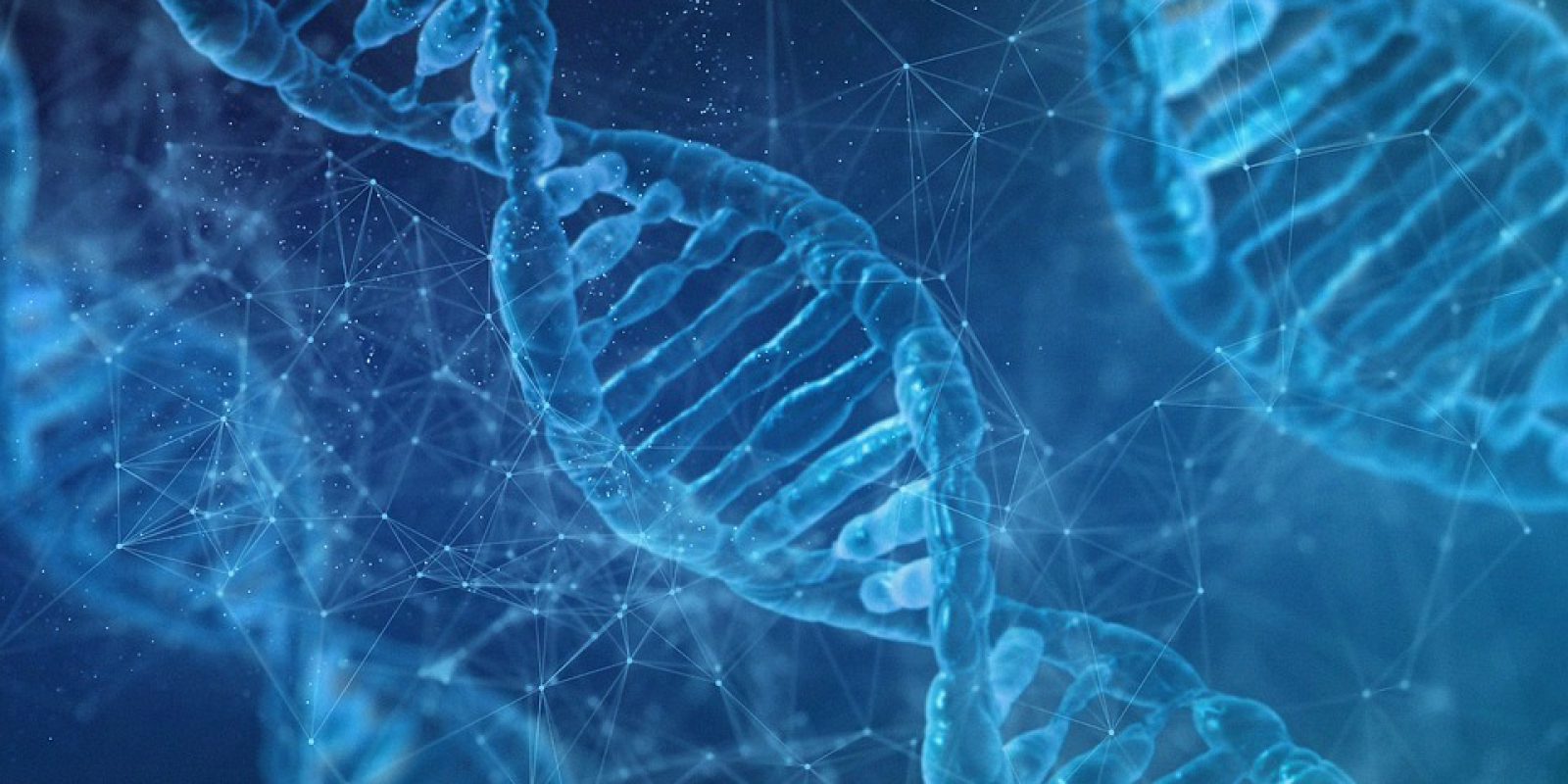 dna-7090994_960_720