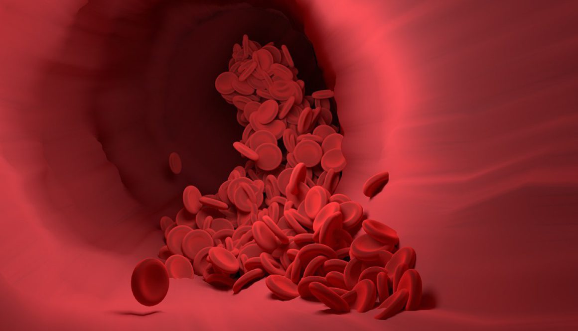 red-blood-cells-4256710_960_720