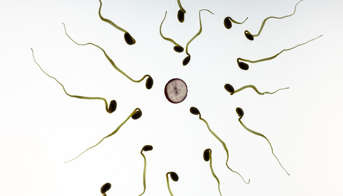 sperm-956480_960_720