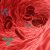 virus-5741636_960_720